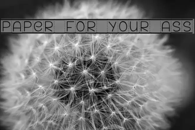 PAPER FOR YOUR ASS Font examples