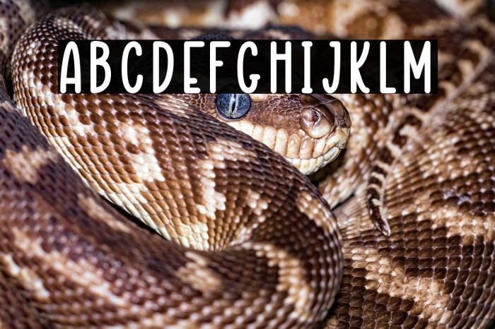 PAPER MOON Example 1