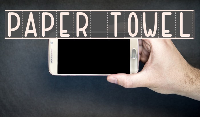 PAPER TOWEL Font examples