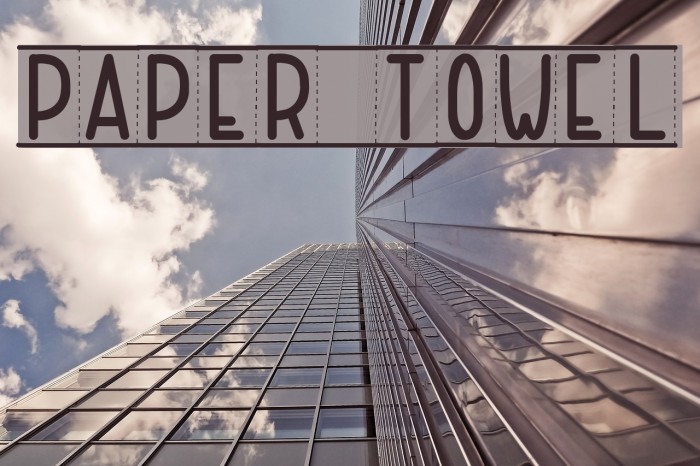 PAPER TOWEL Font examples