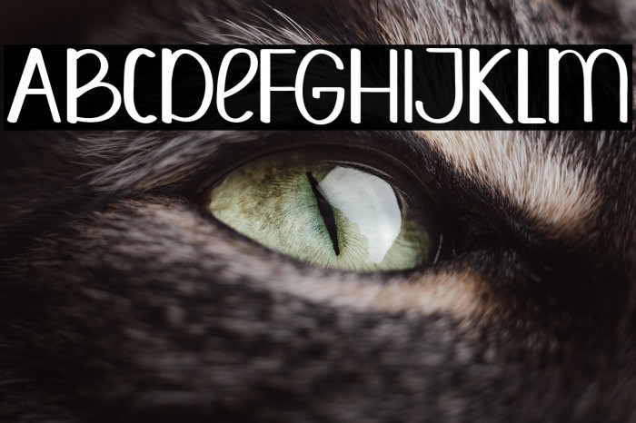 PAPERNOTERegular Example 1