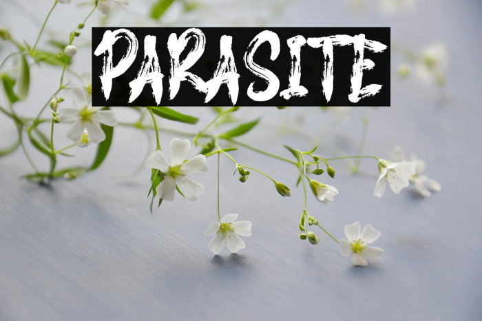 PARASITE Example 1