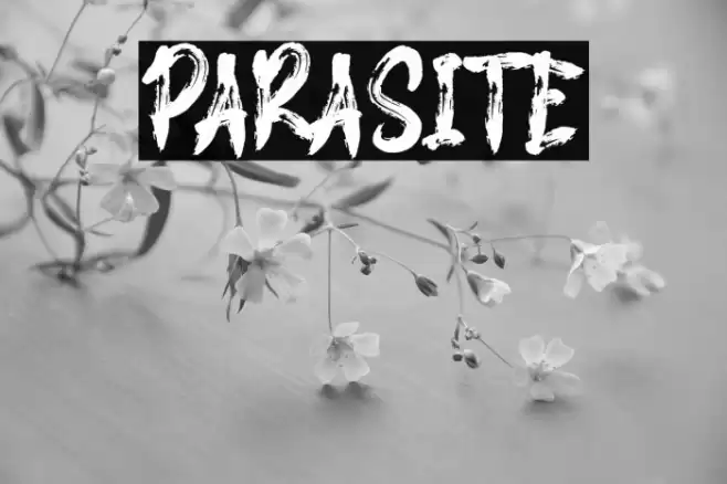 PARASITE Font examples