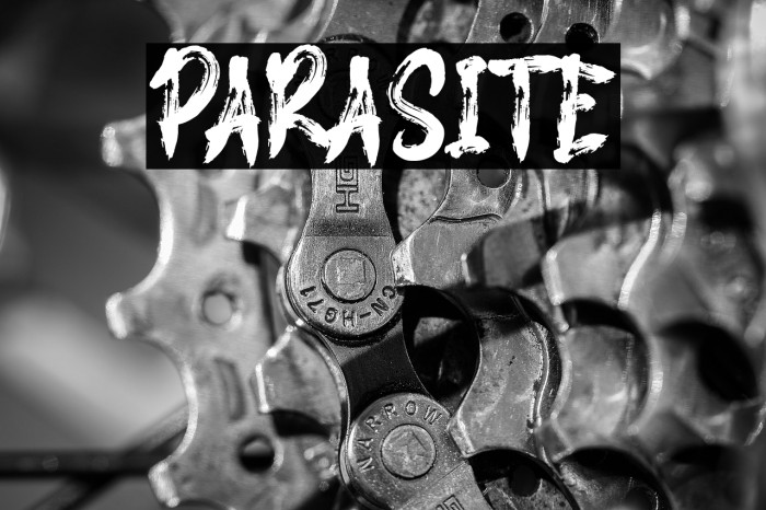 PARASITE Example 2