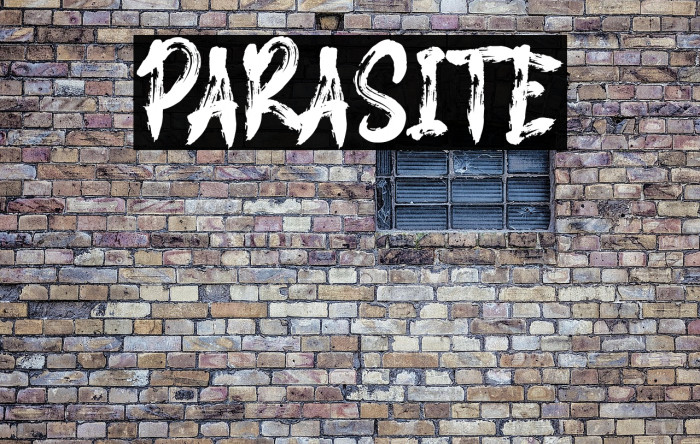 PARASITE Example 3