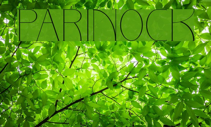 PARINOCK Font examples