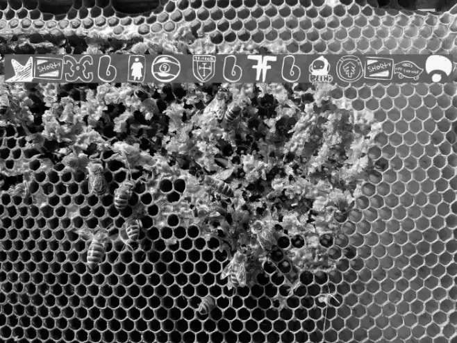 PARODY LOGOSKATE Font examples