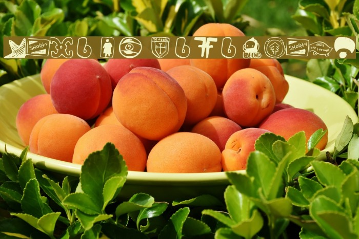 PARODY LOGOSKATE Example 3