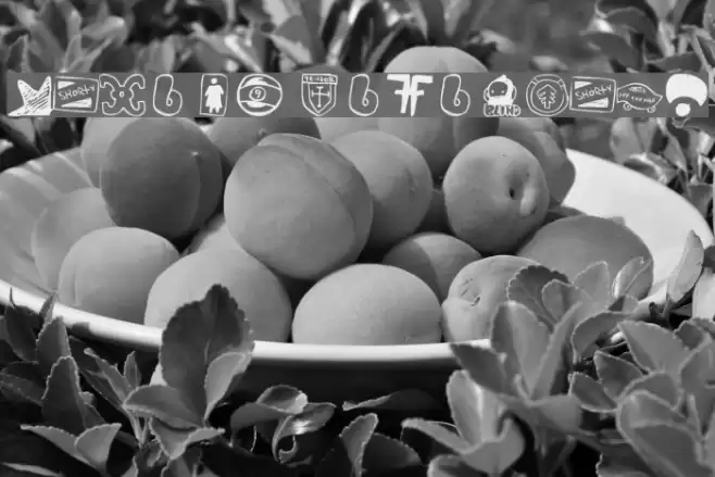 PARODY LOGOSKATE Font examples