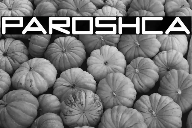 PAROSHCA Font examples