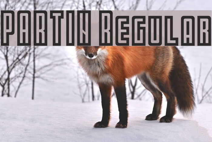 PARTIN Regular Font examples