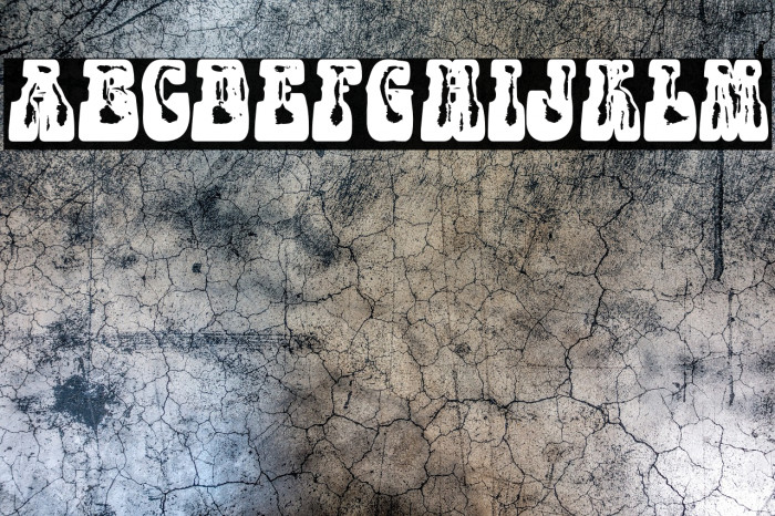 PARTYBOYPERSONALUSE-XBdXCn Example 1