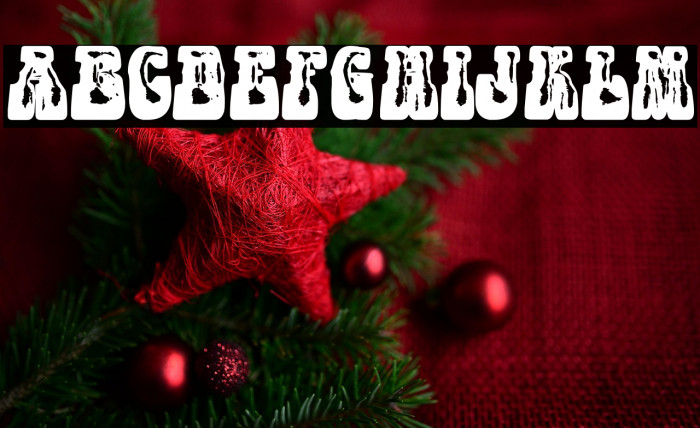 PARTYBOYPERSONALUSE-XBdXCn Example 2