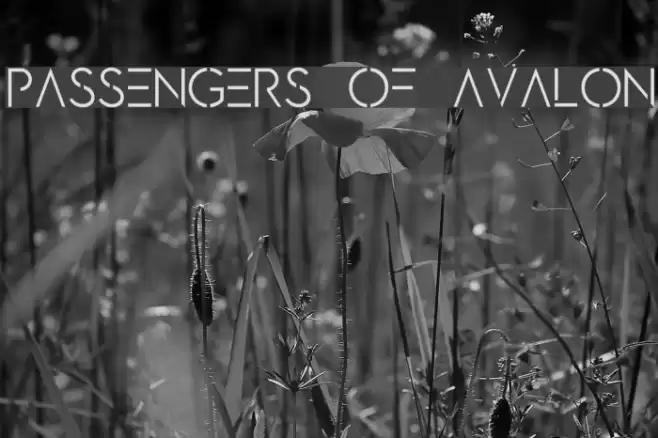 PASSENGERS OF AVALON Font examples