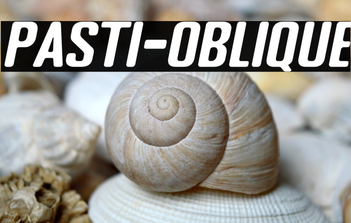 PASTI-Oblique Example 3