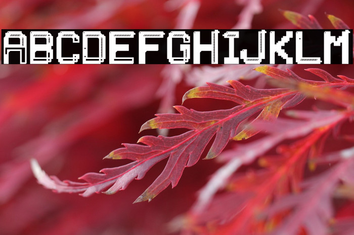 PATCHCRACK Example 1