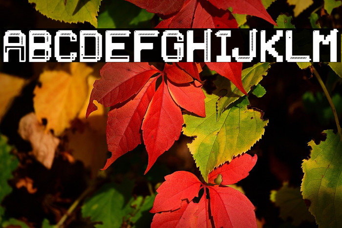 PATCHCRACK Example 2