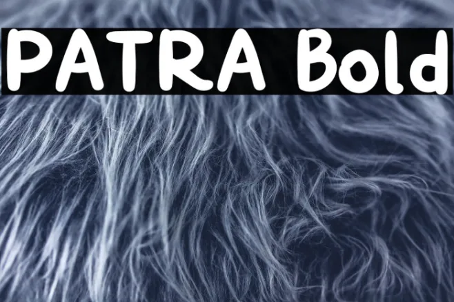 PATRA Bold Example 1