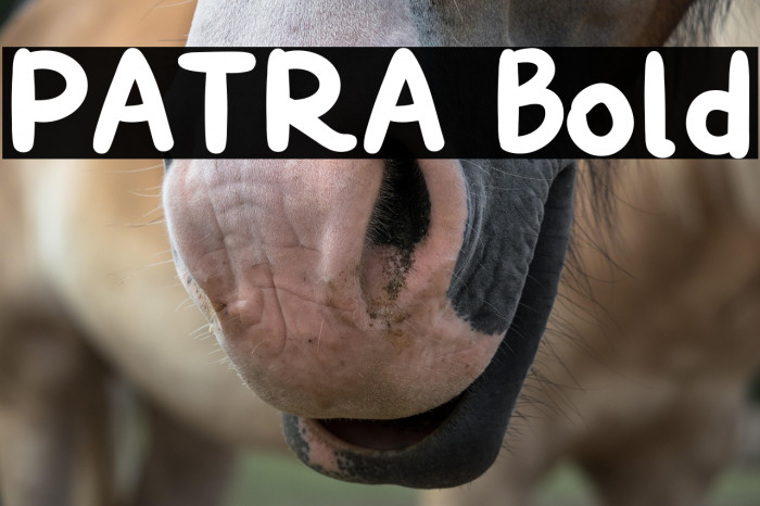 PATRA Bold Example 2
