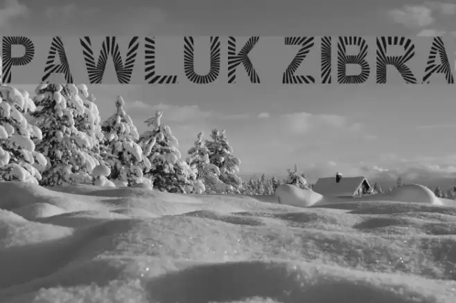PAWLUK ZIBRA Font examples