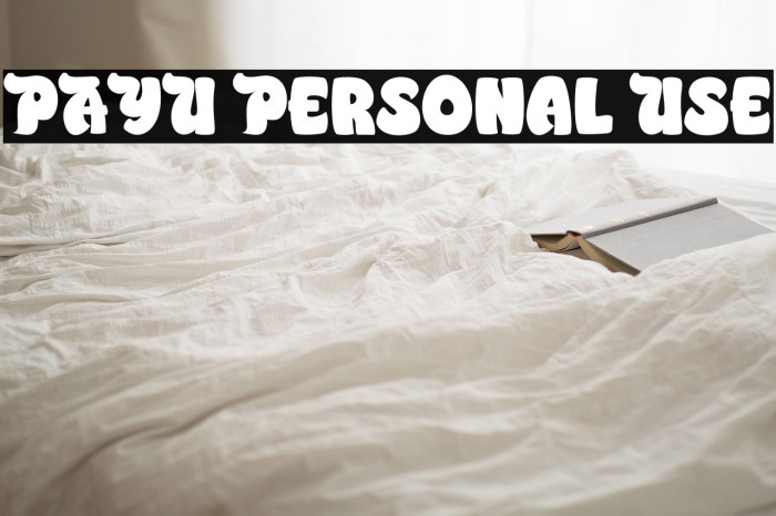 PAYU Personal Use Example 1