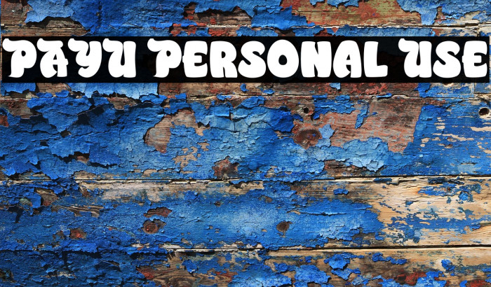 PAYU Personal Use Example 2