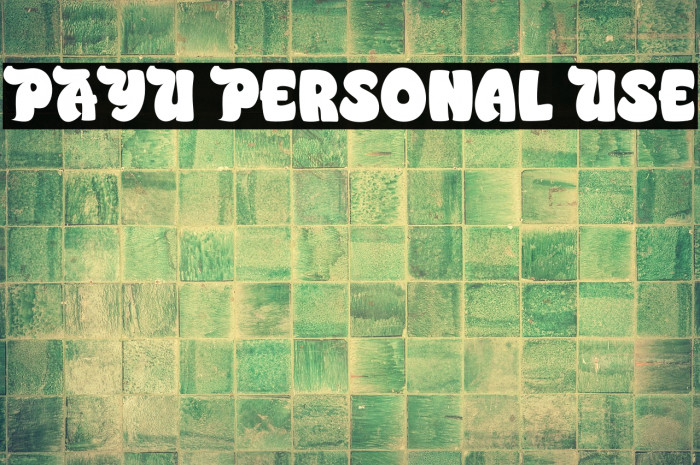 PAYU Personal Use Example 3