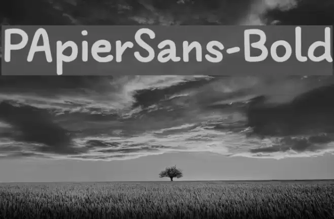 PApierSans-Bold Font examples