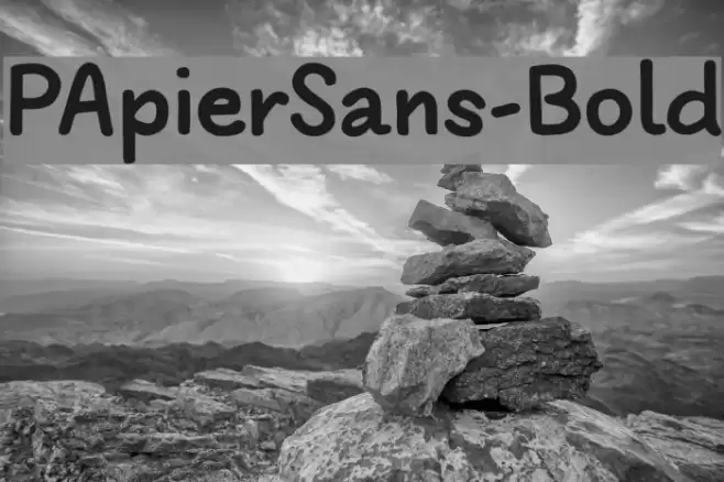 PApierSans-Bold Font examples