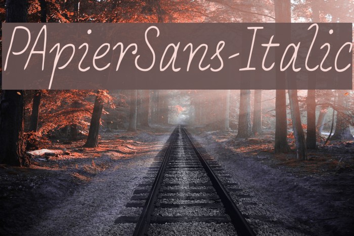 PApierSans-Italic Polices examples