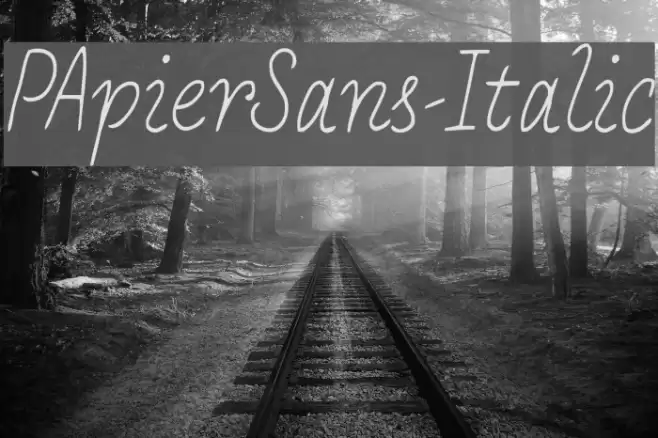 PApierSans-Italic Font examples