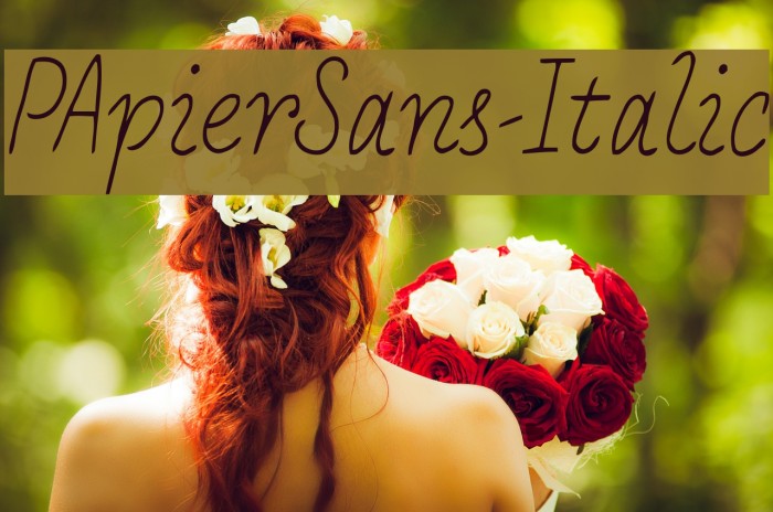 PApierSans-Italic Polices examples