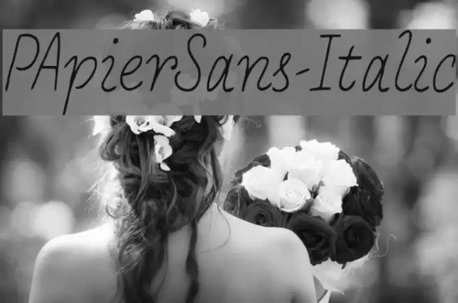 PApierSans-Italic Font examples