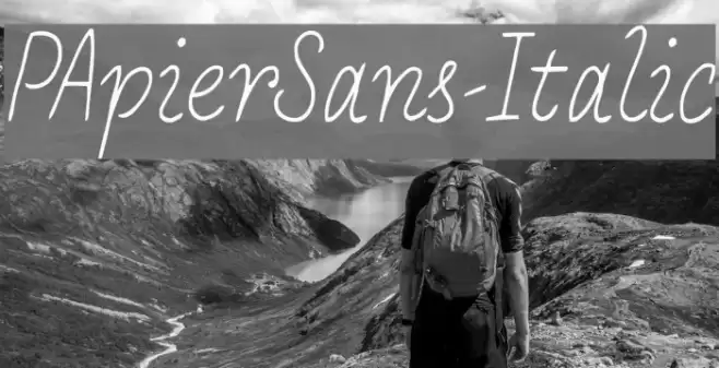 PApierSans-Italic Font examples