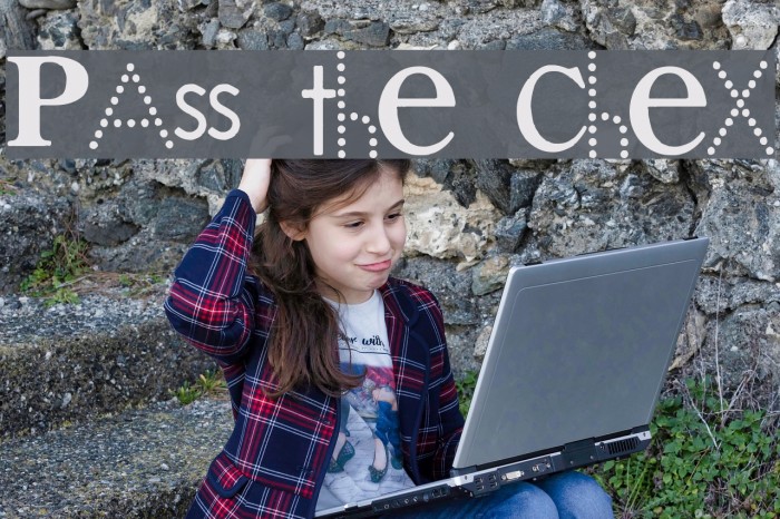 PAss the CheX Example 2