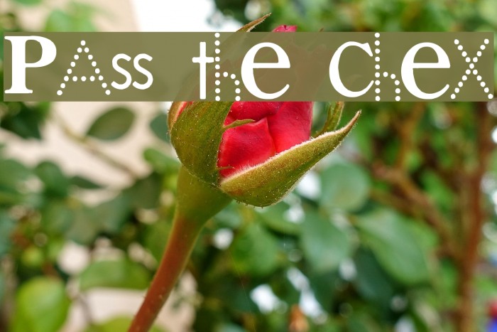 PAss the CheX Example 3