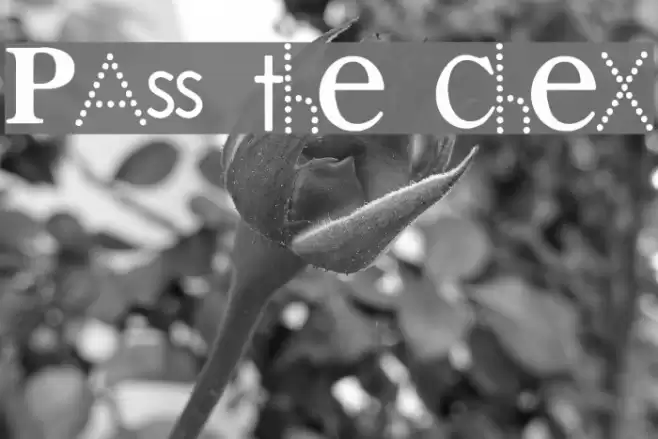 PAss the CheX Font examples