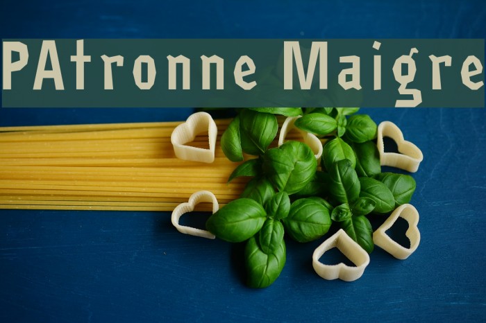 PAtronne Maigre Font examples
