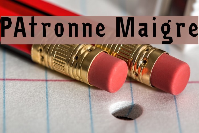 PAtronne Maigre Font examples
