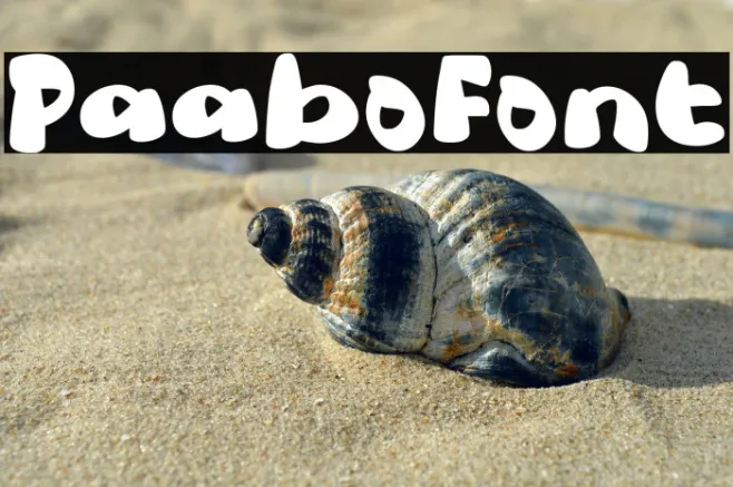 Paabo Example 2