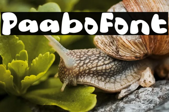 Paabo Example 3