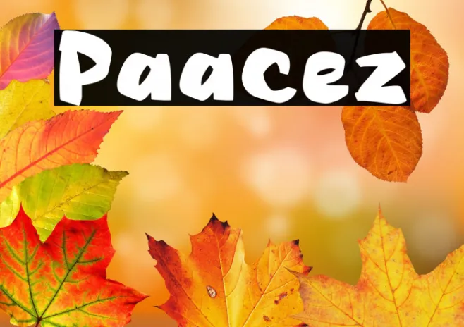 Paacez Example 2