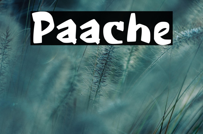 Paache Example 1