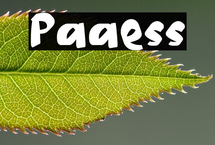Paaess Example 3
