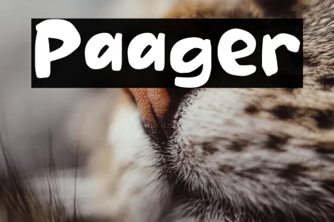 Paager Example 1