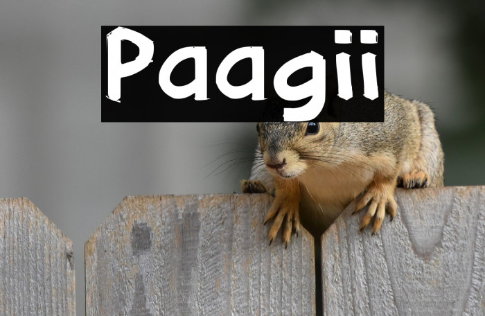 Paagii Example 1