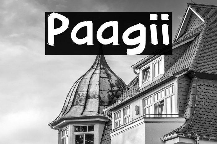 Paagii Example 2