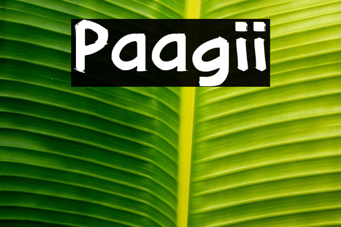 Paagii Example 3