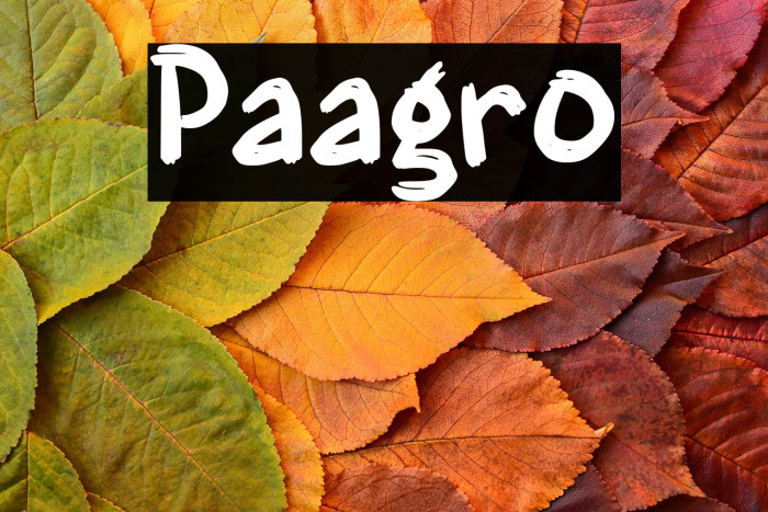 Paagro Example 3
