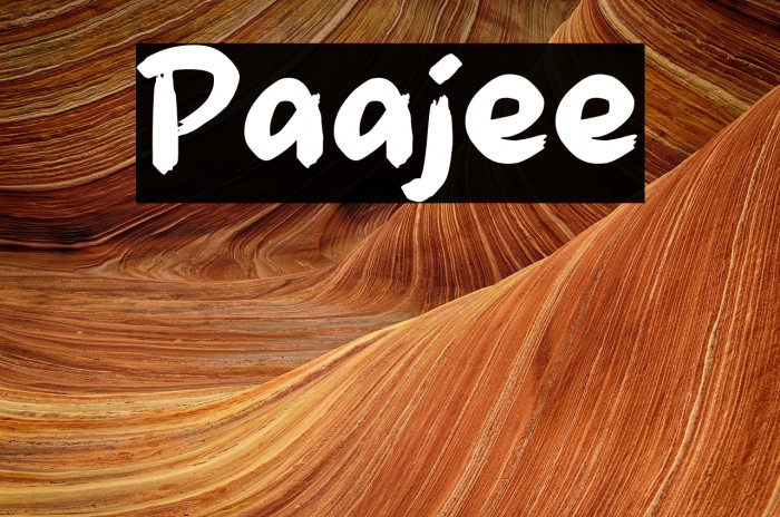 Paajee Example 1